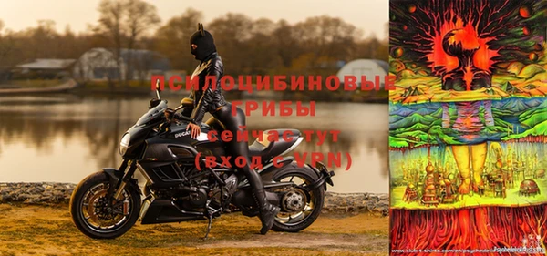 скорость Богородицк
