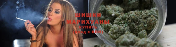 скорость Богородицк