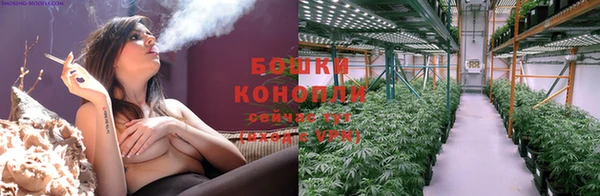 бутират Богданович