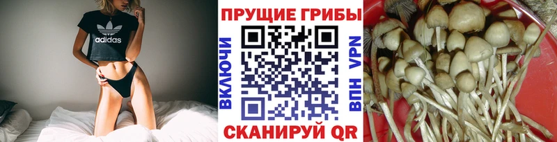 даркнет сайт  kraken зеркало  Псилоцибиновые грибы мицелий  Комсомольск-на-Амуре 